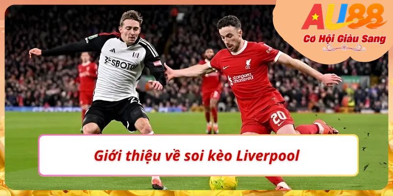 Soi Kèo Liverpool – Tìm Kiếm Kèo Thơm Tiềm Năng Cùng AU88 1 Thử thách đầy kích thích cùng soi kèo Liverpool